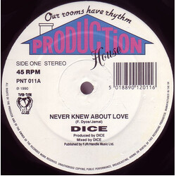 Floyd Dyce Never Knew About Love USED VINYL 12INCH 45 RPM