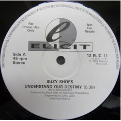 Suzy Shoes Understand Our Destiny USED VINYL 12INCH 45 RPM PROMO