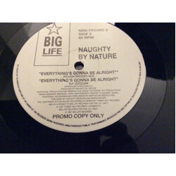 Naughty By Nature Everything's Gonna Be Alright USED VINYL 12INCH PROMO