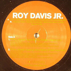 Roy Davis Jr. If You Wanna / I Know What You're Thinking USED VINYL 12INCH 33 S RPM