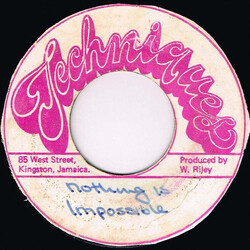 The Interns (2) Nothing Is Impossible USED VINYL 7INCH 45 RPM