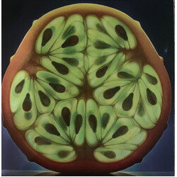 Various Vinyl Moon Volume 038: Sticky Fruit Vinyl LP USED