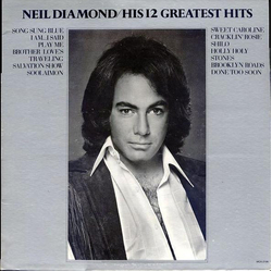 Neil Diamond His 12 Greatest Hits Vinyl LP USED