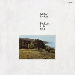 Michael Hedges Breakfast In The Field Vinyl LP USED