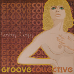 Groove Collective Everything Is Changing USED VINYL 12INCH 33 S RPM