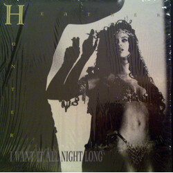 Heather Hunter I Want It All Night Long USED VINYL 12INCH 33 S RPM