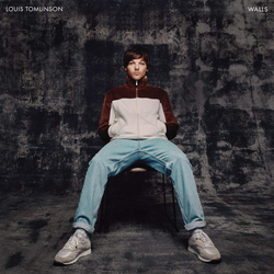 Louis Tomlinson Walls Vinyl LP USED
