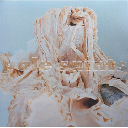 Pale Saints In Ribbons (30th Anniversary Re:Masters) Vinyl 2 LP USED