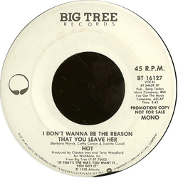 Hot I Don't Wanna Be The Reason That You Leave Her Vinyl 7" USED