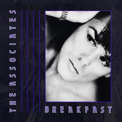 The Associates Breakfast Vinyl 12" USED