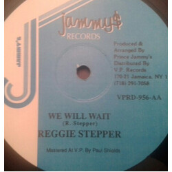 Reggie Stepper Modelling / We Will Wait USED VINYL 12INCH 45 RPM