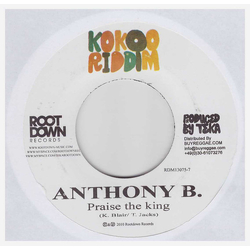 Anthony B / Matthew McAnuff Praise The King / Memory Hills Vinyl 7" USED