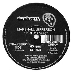 Marshall Jefferson I Got Da Feeling USED VINYL 12INCH 33 S RPM