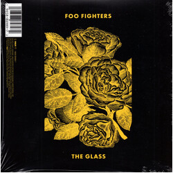 H.E.R. (2) / Foo Fighters The Glass USED VINYL 7INCH