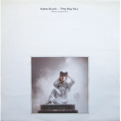 Kate Bush The Big Sky (Meteorological Mix) USED VINYL 12INCH 45 RPM SINGLE