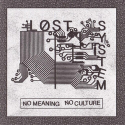 Lost System (2) No Meaning No Culture USED VINYL 7INCH 33 S RPM
