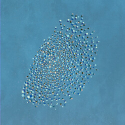 The Expansions Murmuration Vinyl LP USED