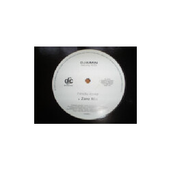 Djaimin Hindu Lover USED VINYL 12INCH SINGLE PROMO