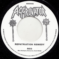 Rico Rodriguez / The Aggrovators Repatriation Remedy / Must Go Home Dub Vinyl 7" USED