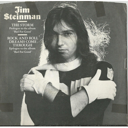 Jim Steinman The Storm / Rock And Roll Dreams Come Through Vinyl 7" USED