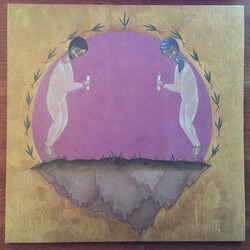 Hospital Ships The Past Is Not A Flood Vinyl LP USED