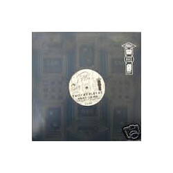Peggi Blu Two Can Play At That Game USED VINYL 12INCH PROMO