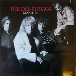 The Del Fuegos Stand Up Vinyl LP USED