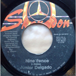 Junior Delgado Nine Fence Vinyl 7" USED
