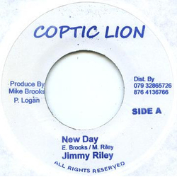 Jimmy Riley New Day Vinyl 7" USED