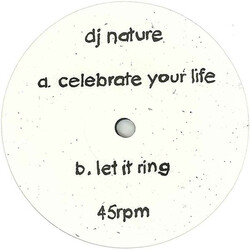 DJ Nature Celebrate Your Life USED VINYL 12INCH 45 RPM