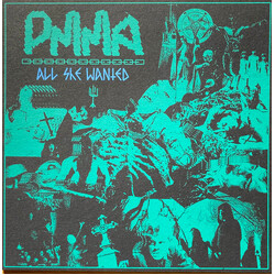 PMMA All She Wanted USED VINYL 7INCH 45 RPM