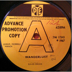David Brook Wanderlust / I Can't Get You Out Of My Heart USED VINYL 7INCH 45 RPM SINGLE PROMO