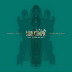Sigmatropic Could That Be The Voice? USED VINYL 12INCH 45 RPM EP LIMITED EDITION