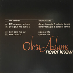 Oleta Adams Never Knew VINYL 12" USED