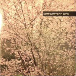 DJ Cam Summer In Paris USED VINYL 12INCH 45 RPM