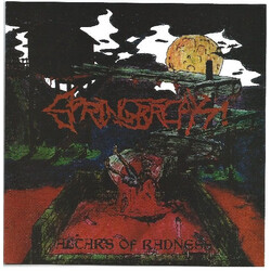 Spring Break! Altars Of Radness USED VINYL 7INCH 33 S RPM EP