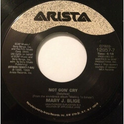 Mary J. Blige / Chaka Khan Not Gon' Cry / My Funny Valentine USED VINYL 7INCH 45 RPM SINGLE