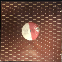 Gazebo Lunatic USED VINYL 12INCH 33 S RPM