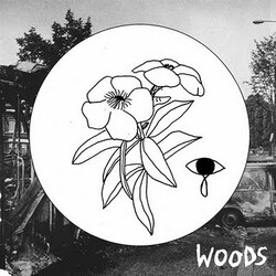 Woods (2) / Kurt Vile Summer 2011 Tour Split Vinyl 7" USED