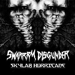 Disgunder / Swarrrm Skylab Hurricane USED VINYL 7INCH