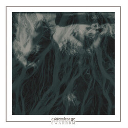 assembrage / Swarrrm Split USED VINYL 7INCH LIMITED EDITION