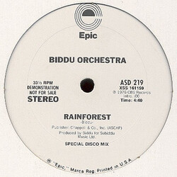 Biddu Orchestra Rainforest USED VINYL 12INCH 33 S RPM PROMO STEREO