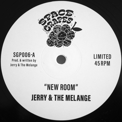 Jerry & The Melange / Bob & The Rustlers New Room / Rustle Bob's Creek Vinyl 12" USED