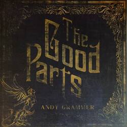 Andy Grammer The Good Parts Vinyl LP USED
