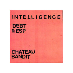Intelligence Debt & ESP / Chateau Bandit USED VINYL 7INCH 45 RPM
