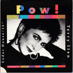 Terry Iten Pow! Vinyl 12" USED