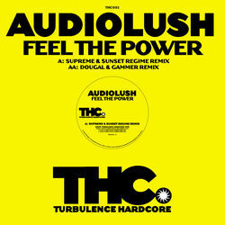 Audiolush Feel The Power USED VINYL 12INCH 45 RPM