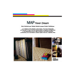 Map (8) Fever Dream Vinyl 2 LP USED