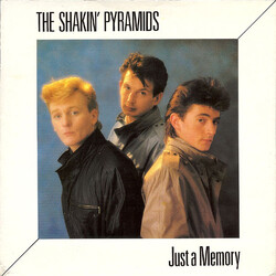 The Shakin' Pyramids Just A Memory USED VINYL 7INCH 45 RPM