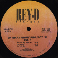 David Anthony David Anthony Project LP Vol. 1 Vinyl LP USED
